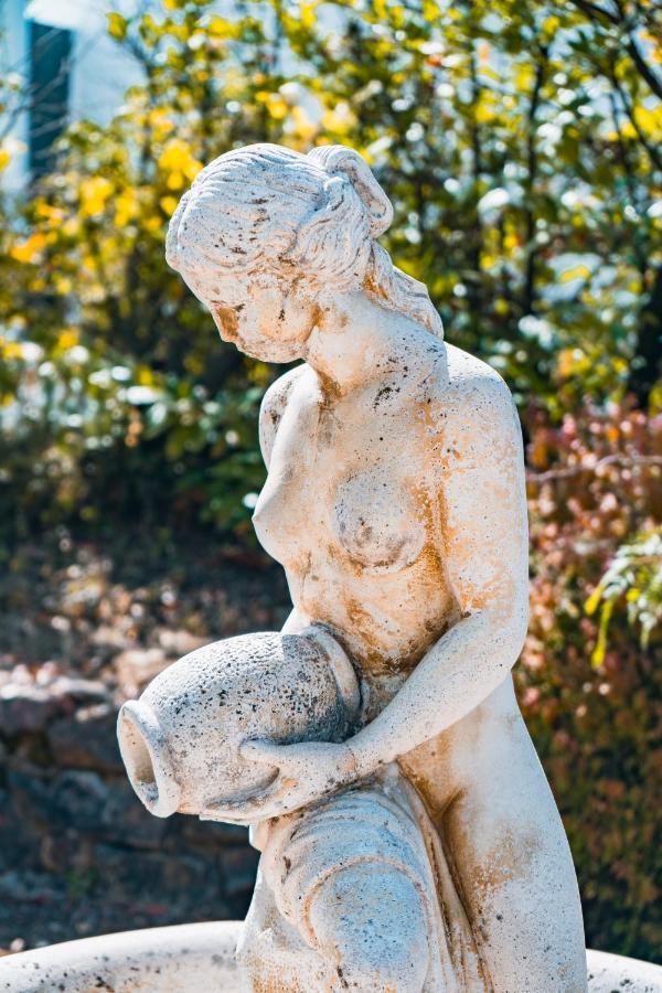 Le Mas Des Amandiers Saint-Paul-de-Vence Dış mekan fotoğraf